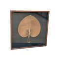 Quadro Leque 68X68