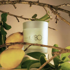 Vela Perfumada 210g Summer Pear