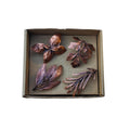 Conjunto de 4 Argolas Mix Ervas