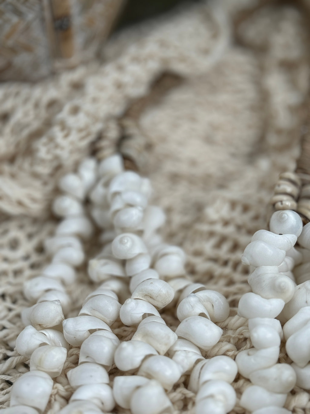 Colar Decorativo Conchas Brancas